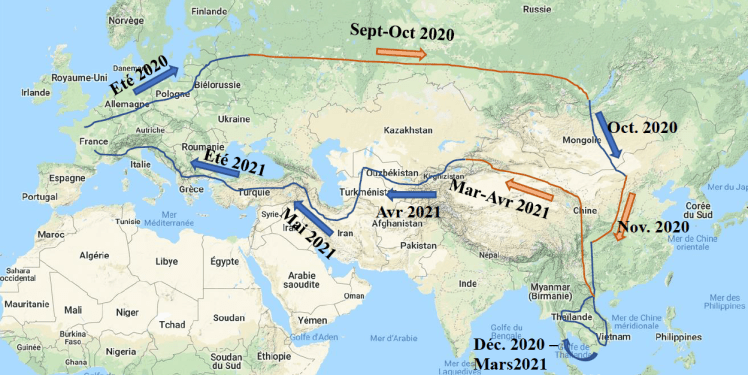 Vue du parcours prévisionnel, avec à l'aller un passage par le Russie, et au retour via l'Asie Centrale